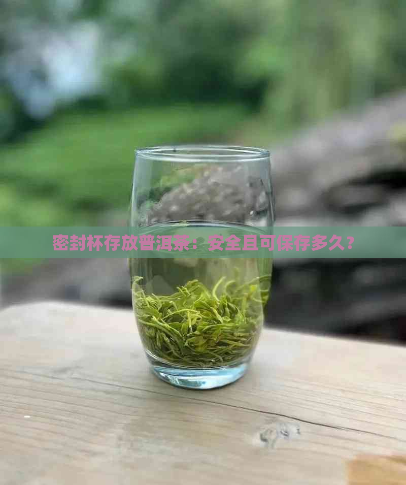 密封杯存放普洱茶：安全且可保存多久？