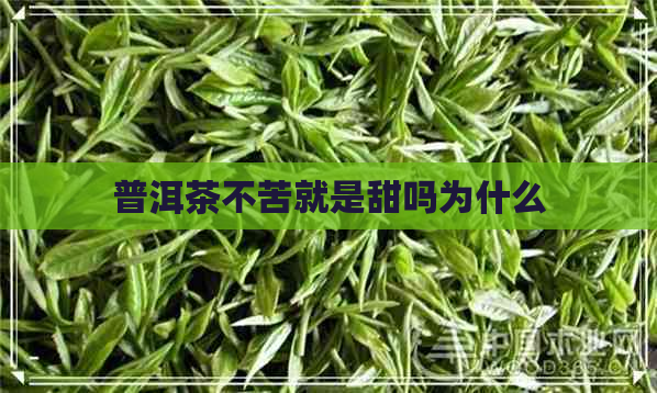 普洱茶不苦就是甜吗为什么