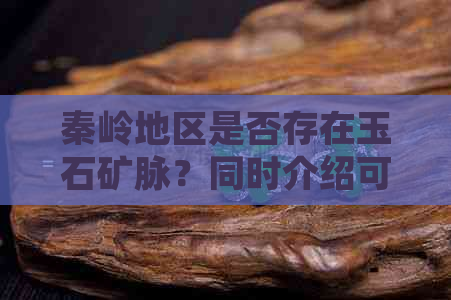 秦岭地区是否存在玉石矿脉？同时介绍可能的矿产资源分布情况。