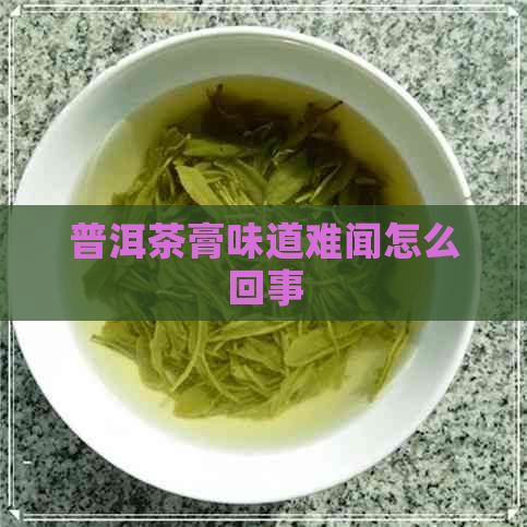 普洱茶膏味道难闻怎么回事