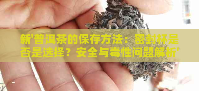 新'普洱茶的保存方法：密封杯是否是选择？安全与性问题解析'