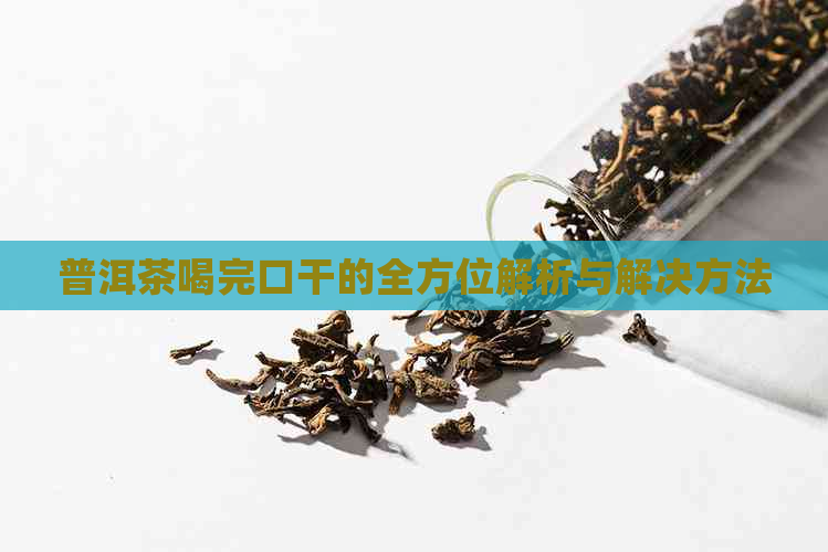 普洱茶喝完口干的全方位解析与解决方法