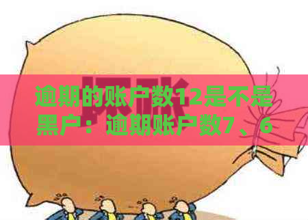 逾期的账户数12是不是黑户：逾期账户数7、6、1和5分别代表什么意义？