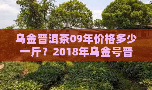 乌金普洱茶09年价格多少一斤？2018年乌金号普洱茶价格