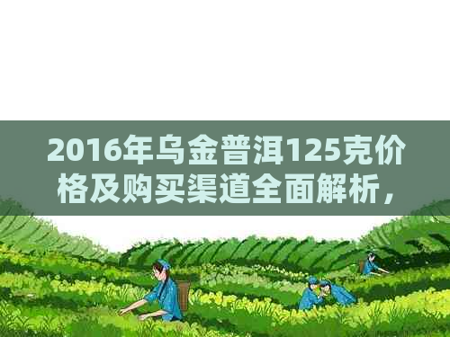 2016年乌金普洱125克价格及购买渠道全面解析，助您轻松选购优质普洱茶