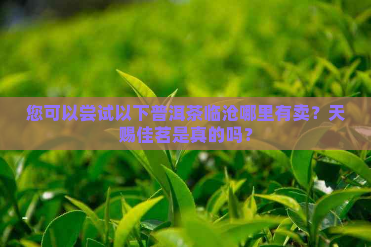 您可以尝试以下普洱茶临沧哪里有卖？天赐佳茗是真的吗？