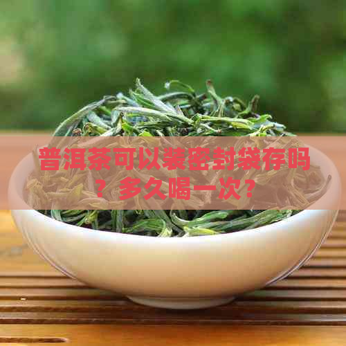 普洱茶可以装密封袋存吗？多久喝一次？