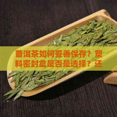 普洱茶如何妥善保存？塑料密封盒是否是选择？还有哪些其他建议？