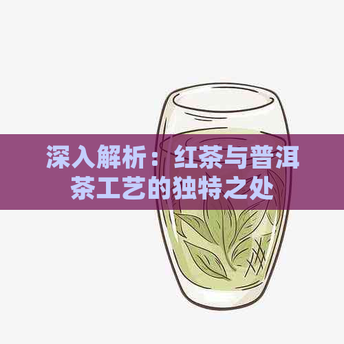 深入解析：红茶与普洱茶工艺的独特之处