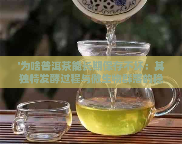 '为啥普洱茶能长期保存不坏：其独特发酵过程与微生物群落的稳定作用是关键'