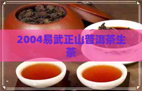 2004易武正山普洱茶生茶