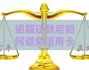 逾期还款后如何避免信用卡注销？全面解析解决方案及注意事项