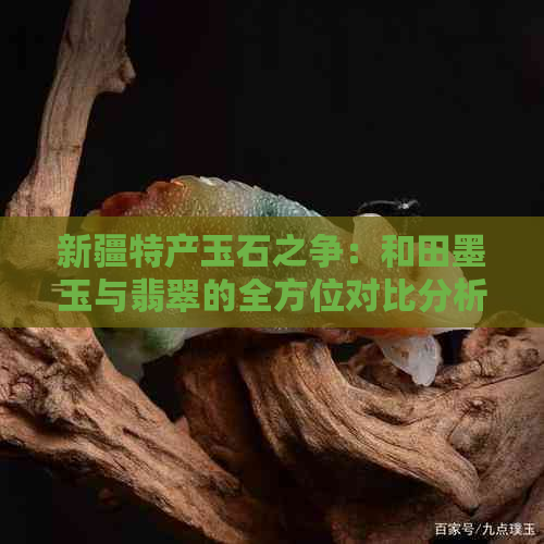 新疆特产玉石之争：和田墨玉与翡翠的全方位对比分析