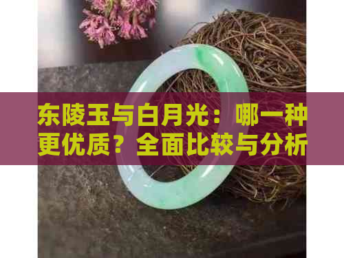 东陵玉与白月光：哪一种更优质？全面比较与分析