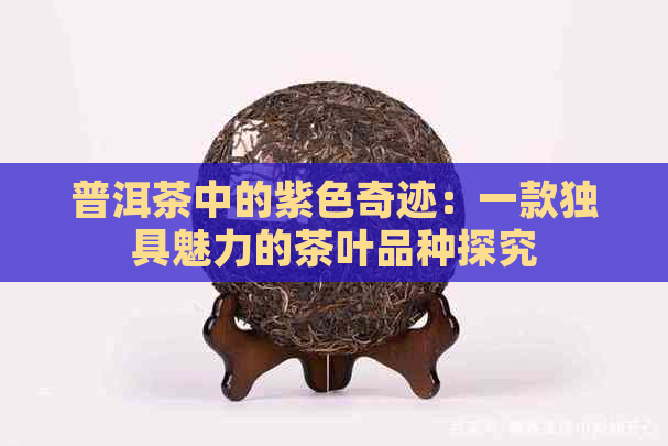 普洱茶中的紫色奇迹：一款独具魅力的茶叶品种探究