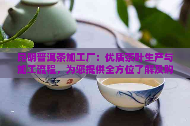 昆明普洱茶加工厂：优质茶叶生产与加工流程，为您提供全方位了解及购买指南