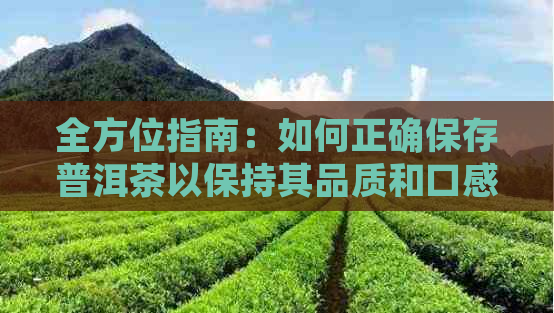 全方位指南：如何正确保存普洱茶以保持其品质和口感？