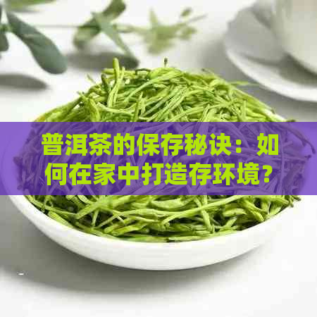 普洱茶的保存秘诀：如何在家中打造存环境？