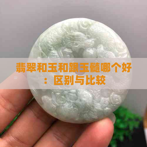 翡翠和玉和跟玉髓哪个好：区别与比较