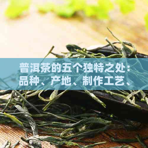 普洱茶的五个独特之处：品种、产地、制作工艺、功效与口感的综合解析