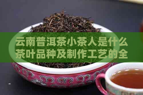 云南普洱茶小茶人是什么茶叶品种及制作工艺的全解析