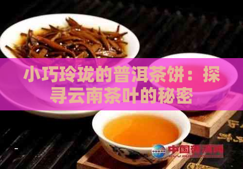 小巧玲珑的普洱茶饼：探寻云南茶叶的秘密