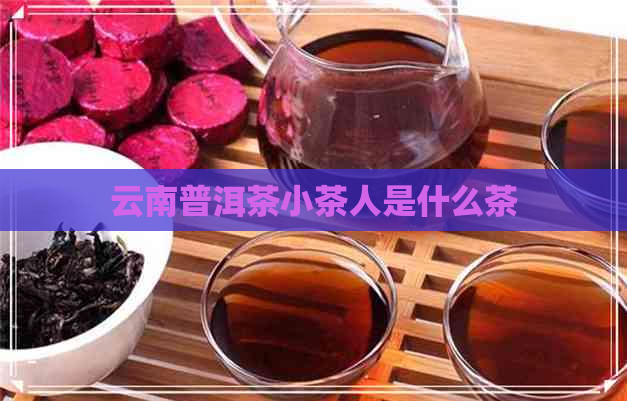 云南普洱茶小茶人是什么茶