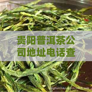 贵阳普洱茶公司地址电话查询，近期更新