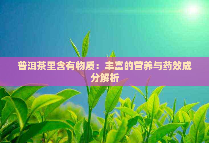 普洱茶里含有物质：丰富的营养与药效成分解析