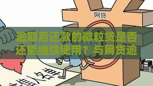 逾期后还款的微粒贷是否还能继续使用？与网贷逾期相关的解答