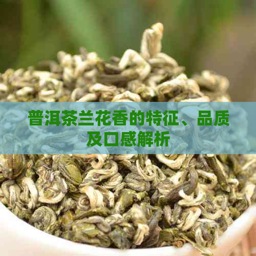 普洱茶兰花香的特征、品质及口感解析