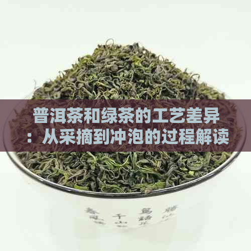 普洱茶和绿茶的工艺差异：从采摘到冲泡的过程解读