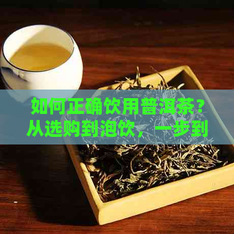 如何正确饮用普洱茶？从选购到泡饮，一步到位详解！