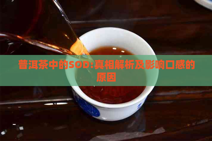 普洱茶中的SOD:真相解析及影响口感的原因