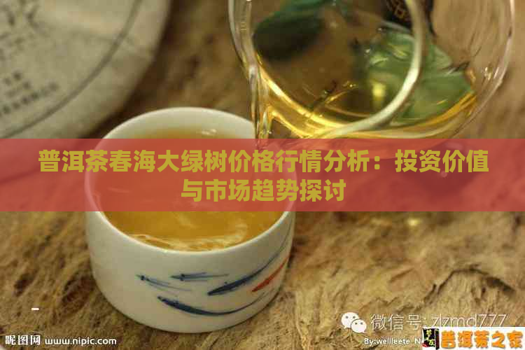 普洱茶春海大绿树价格行情分析：投资价值与市场趋势探讨