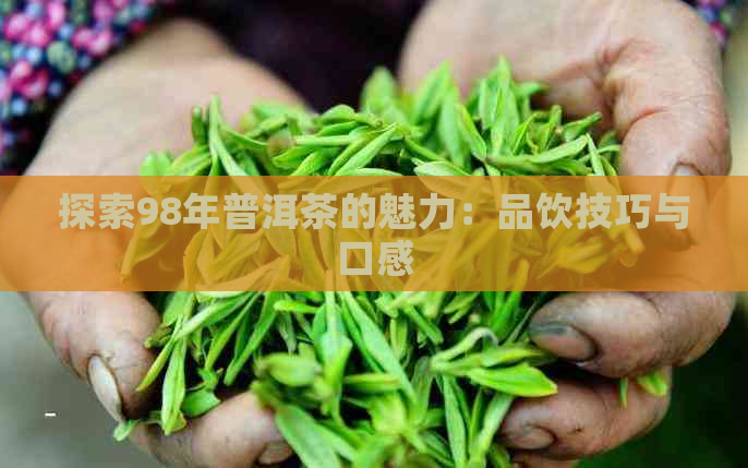 探索98年普洱茶的魅力：品饮技巧与口感