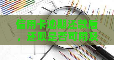 信用卡逾期还款后，还呗是否可用及安全性全解析