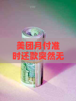 美团月付准时还款突然无法使用，原因何在及解决办法