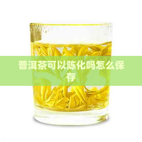 普洱茶可以陈化吗怎么保存