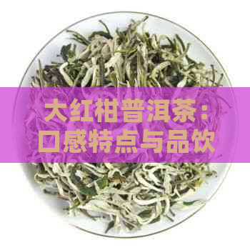 大红柑普洱茶：口感特点与品饮技巧全方位解析