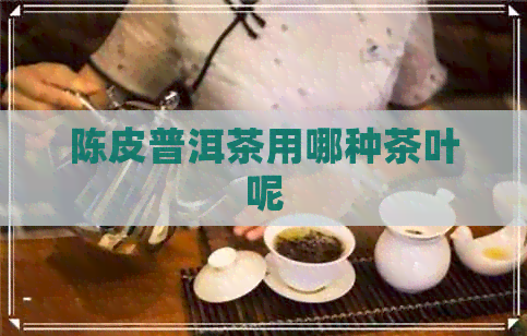 陈皮普洱茶用哪种茶叶呢