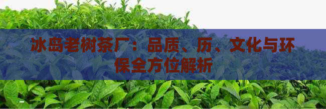 冰岛老树茶厂：品质、历、文化与环保全方位解析