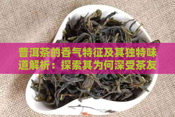 普洱茶的香气特征及其独特味道解析：探索其为何深受茶友喜爱