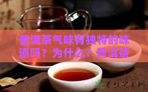 普洱茶气味有独特的味道吗？为什么？普洱茶气味是什么样的？