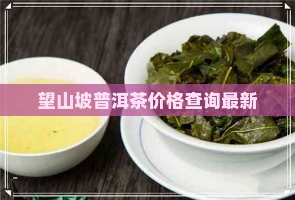 望山坡普洱茶价格查询最新