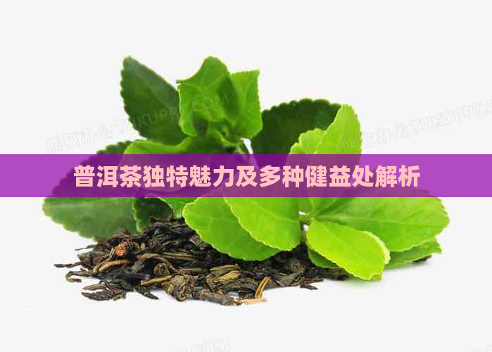 普洱茶独特魅力及多种健益处解析