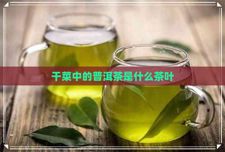 干菜中的普洱茶是什么茶叶