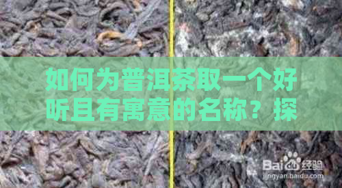 如何为普洱茶取一个好听且有寓意的名称？探索普洱茶命名的艺术与技巧