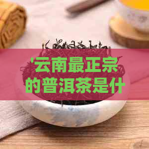 '云南最正宗的普洱茶是什么茶：探究最纯正的云南普洱茶品种与'