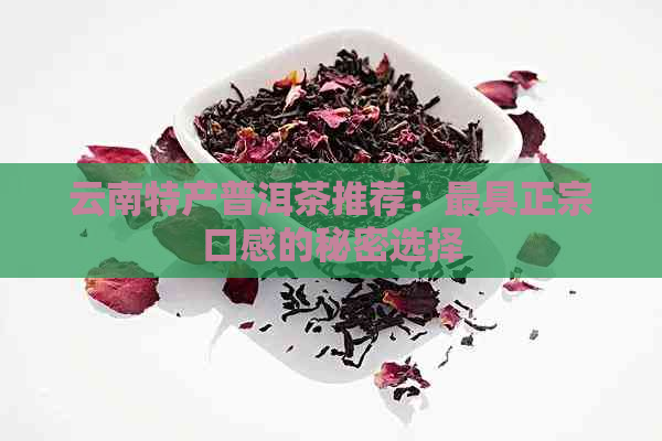 云南特产普洱茶推荐：更具正宗口感的秘密选择